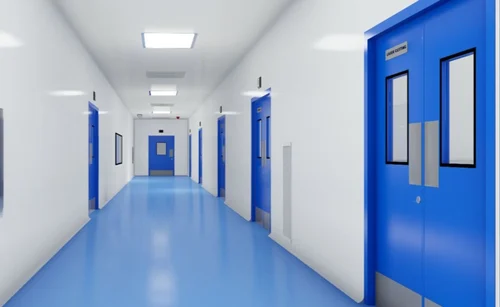 Clean Room Doors
